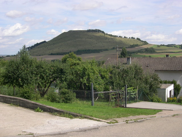 W5017